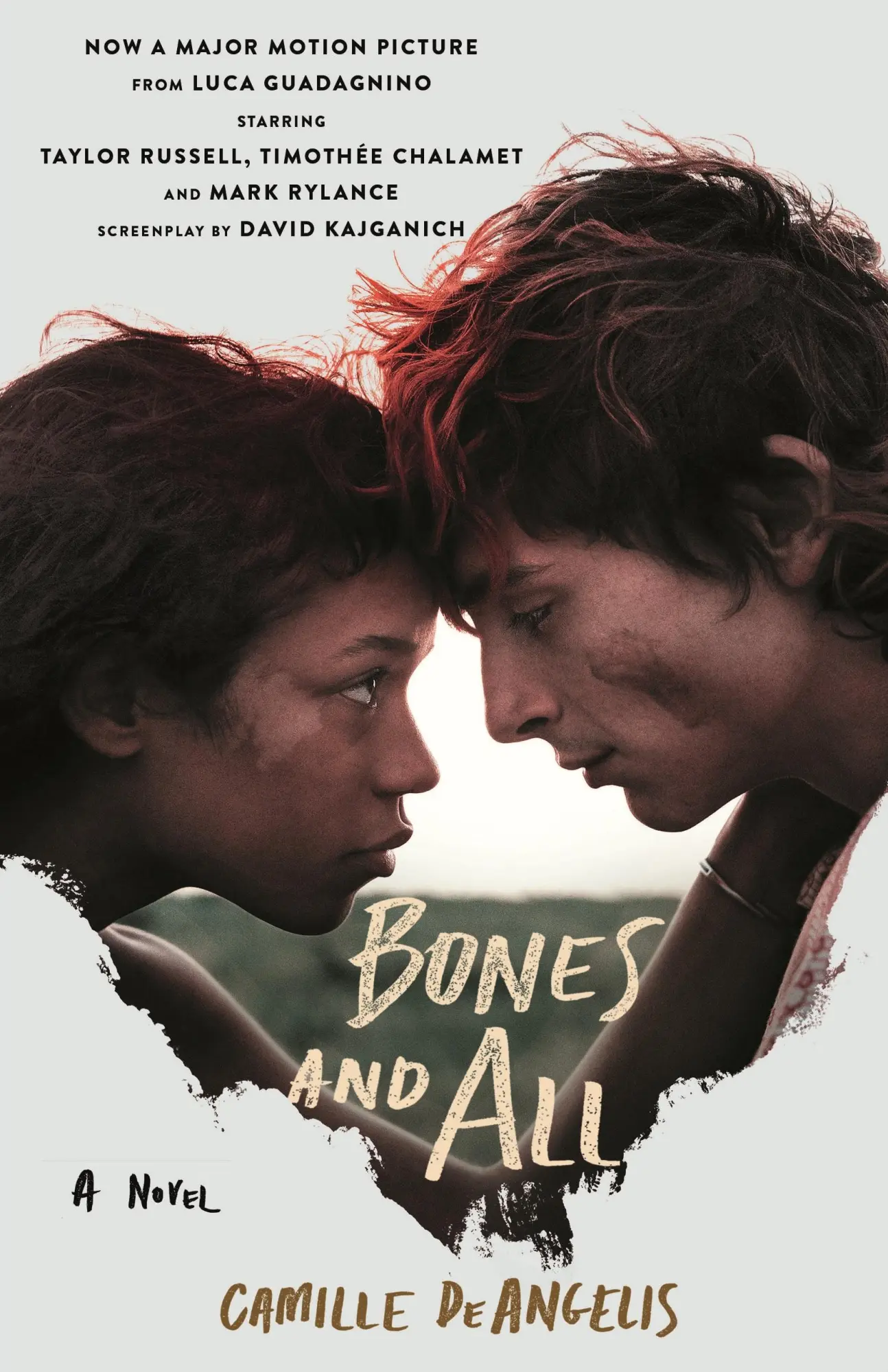 Cover: 9781250882776 | Bones & All | A Novel | Camille Deangelis | Taschenbuch | Englisch